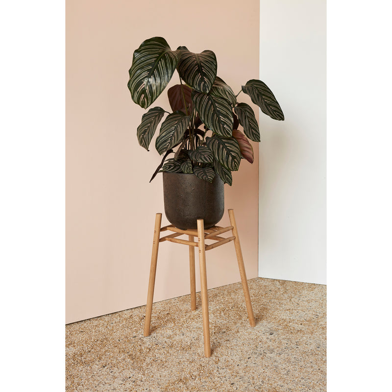 Plant Stand low