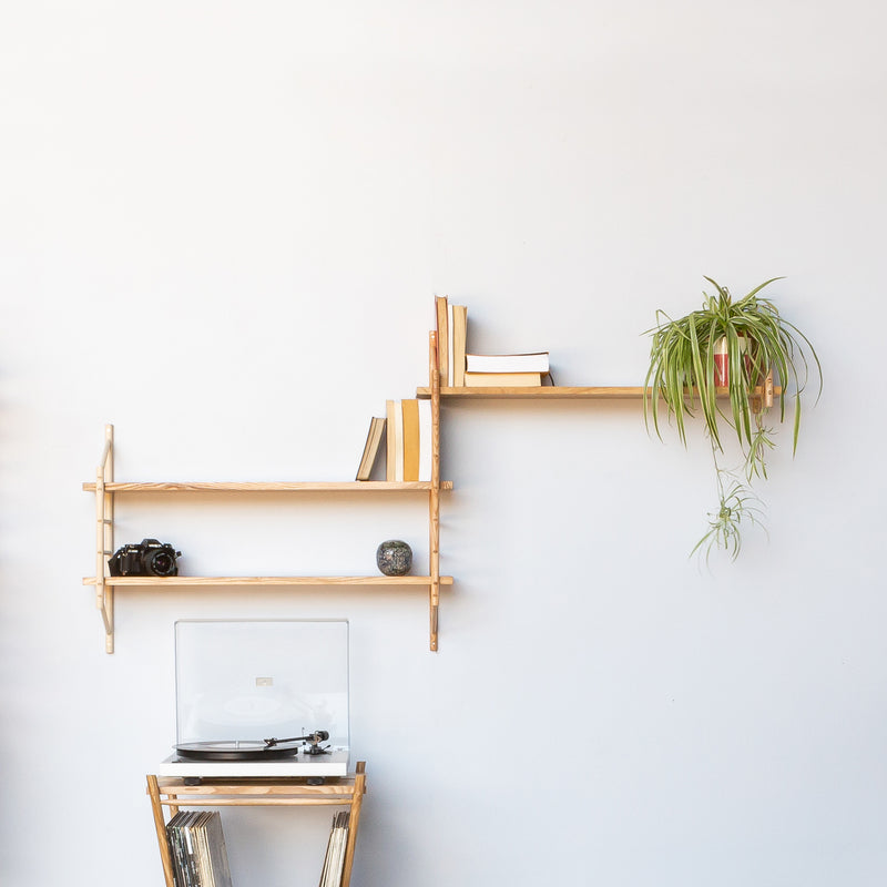 wall hung wooden shelving bookcase with plant