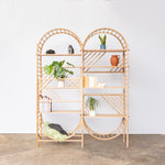 arched freestanding wooden ladder shelving by John Eadon double unit set with plants 