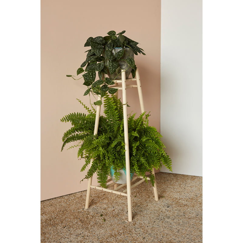 Plant Stand with fern