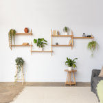 customised layout of wall hung wooden shelving by John Eadon